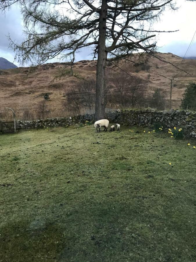 Garrison Of Farm With Hot Tub Bed and breakfast Inversnaid